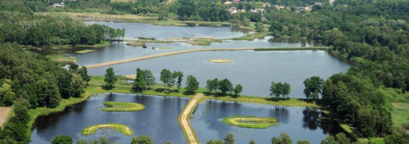 broedeilanden_platwijers_dsc_3425_0