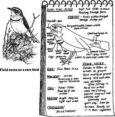clip_image002