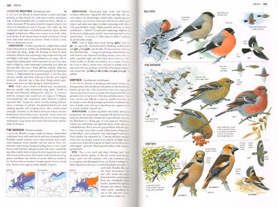 collins-bird-guide