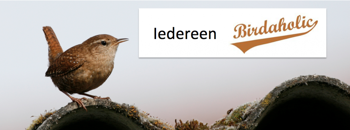 iedereenbirdaholic