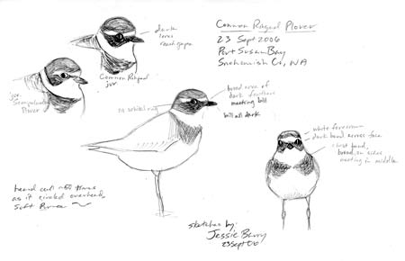 jessie_barry_notes