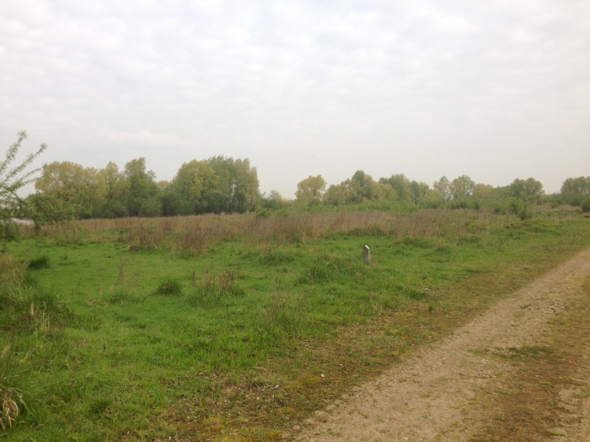 bichterweert0001-4